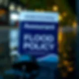 A detailed overview of Assurant flood policy brochure