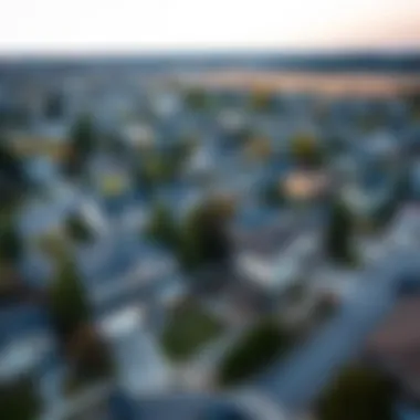 Aerial Perspective of Foreclosed Properties Aerial view of foreclosed properties showcasing various types of homes