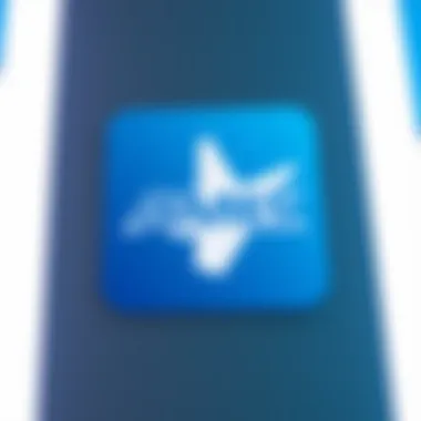 Amex Airline Partners Overview Visual representation of Amex airline partners logo