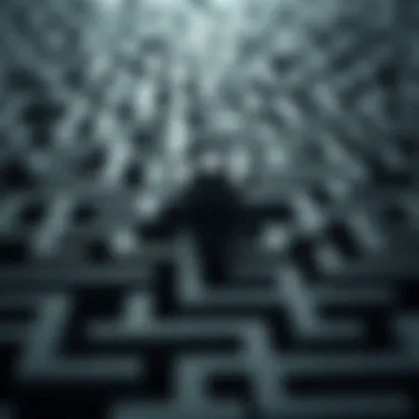 A maze symbolizing the complexities of navigating financial systems after account closure.