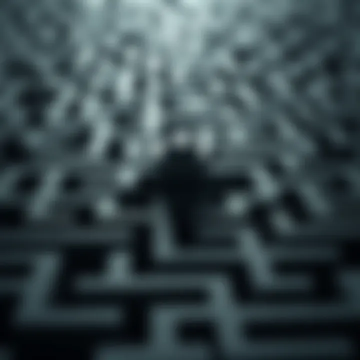 A maze symbolizing the complexities of navigating financial systems after account closure.